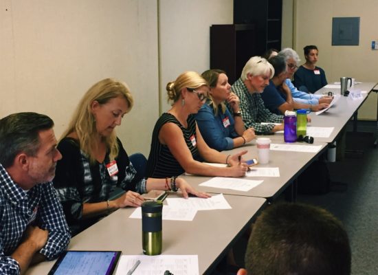 Project Pitch Panel