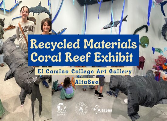 Reviving the Reef Through Learning, Art, and Action