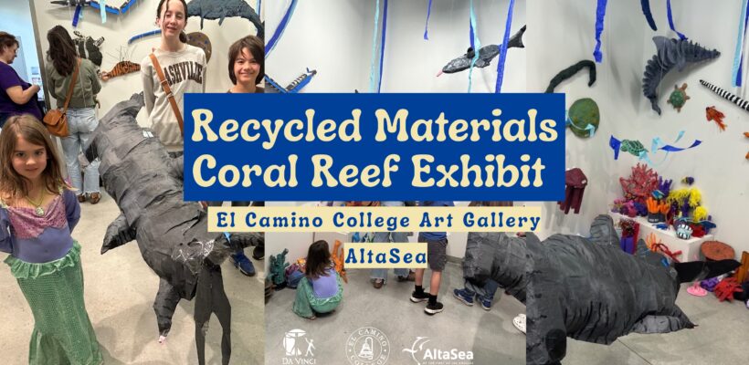 Reviving the Reef Through Learning, Art, and Action