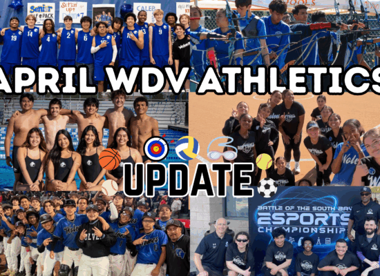 Wolves in Action: Spring Season Highlights